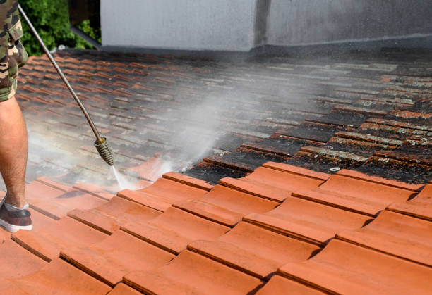 Best Commercial Building Pressure Washing  in Coats, NC